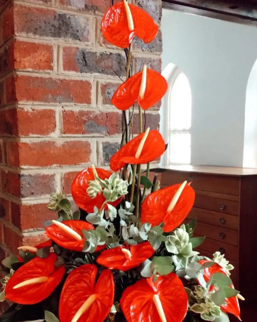 Gallery image 2