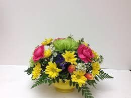 gallery-photo